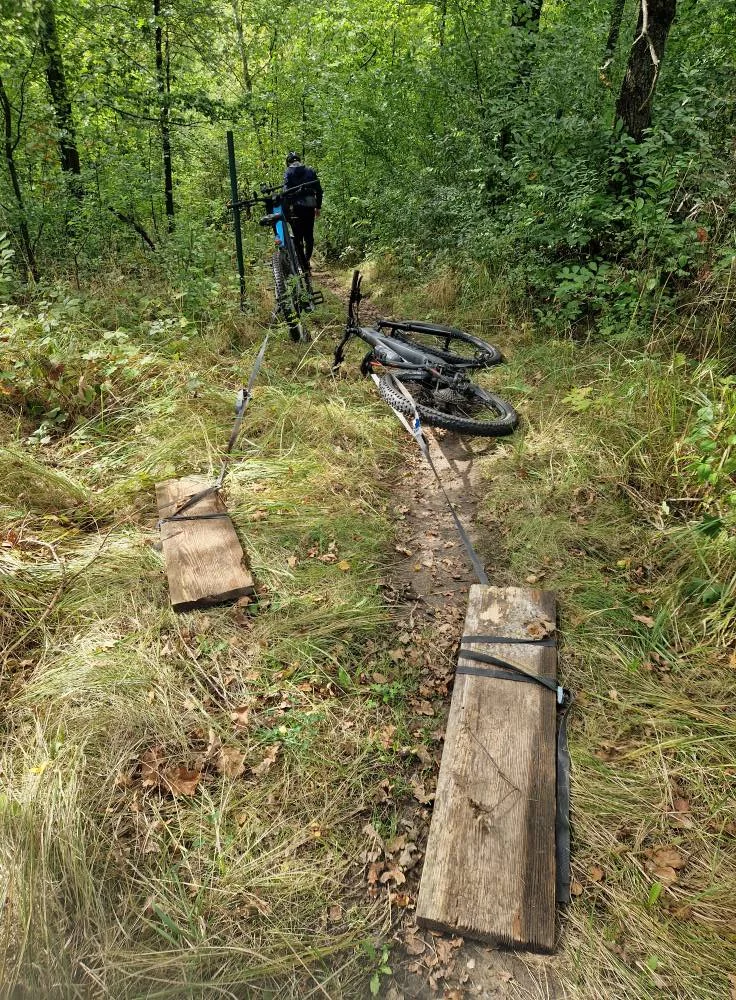 Leśny fragment trasy na Górze Kamieńsk